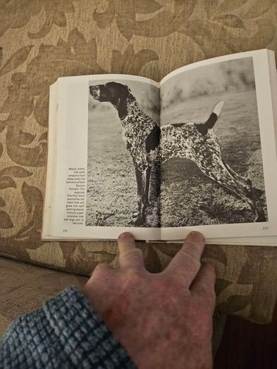 This Is The German Pointer. Shorthaired& Wirehaired. By Louise Zeigler Spirer & Herbert F.spirer. First Edition Hardback In Good Condition.  See Photos For Same.
