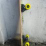 Complete Skateboard - Vibrant Graphic Deck & Yellow Wheels Image 3