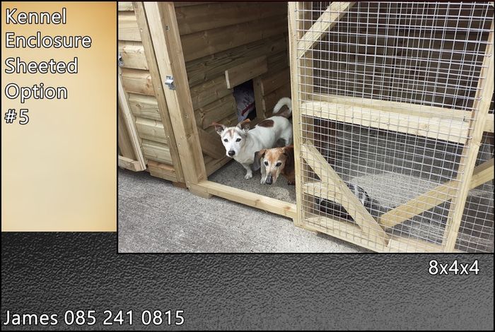 Dog Kennel & Enclosure
