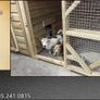 Dog Kennel & Enclosure Image 7