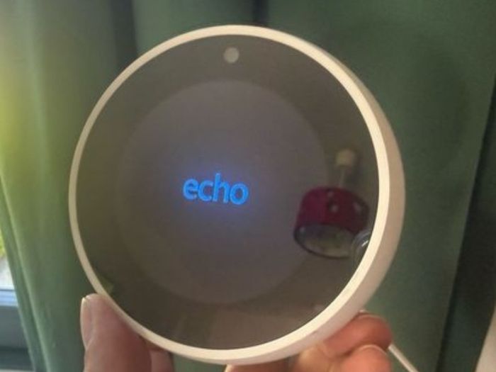 Amazon Echo Spot 1st Gen