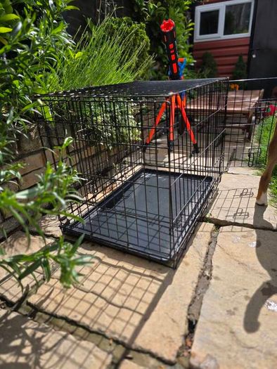 dog crate