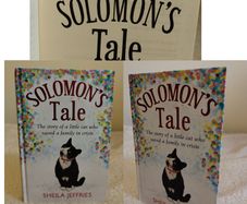 Solomon,s Tale Hardback Storybook