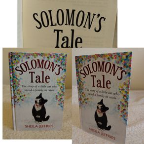 Solomon,s Tale Hardback Storybook