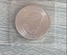 Silver coin