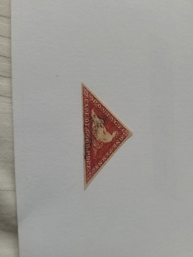 Cape Of Good Hope 1853 One Penny Pale Brick-red