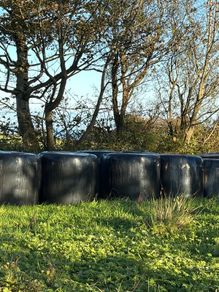 Round bale silage