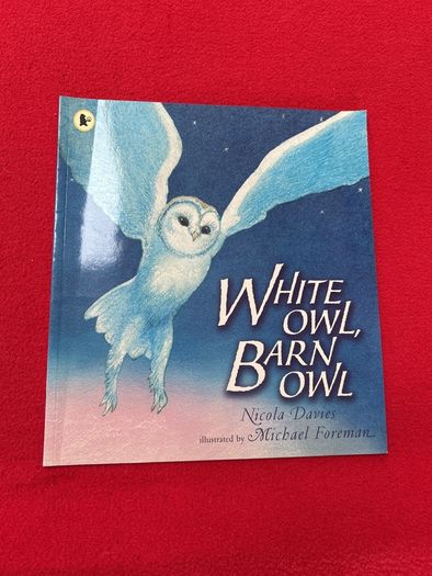 childrens books