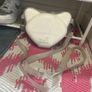 Kids cat headphones,case and charger Image 2