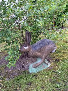 Large 3D archery target rabbit