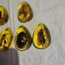 Insects in amber lucite 10 each Image 4