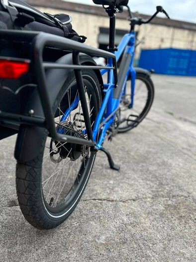 Keego Electric Bike