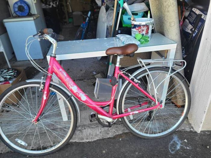 ladies bike