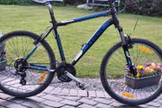 Mountain Trek Alpha No Offers