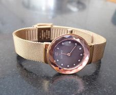 Skagen watch, all offers welcome.