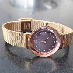 Skagen watch, all offers welcome.