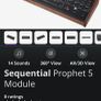 Sequential Prophet 5 Image 2