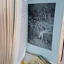The Decameron of Boccaccio by Giovanni Boccaccio Published by The Bibliophilist Society (GT128) Image 6