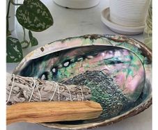 Natural Beauty - Abalone Shell - excellent incense burner base