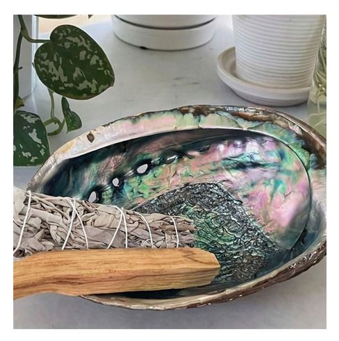 Beautiful Abalone Shell - excellent incense burner base