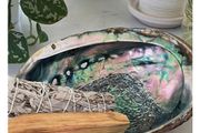 Natural Beauty - Abalone Shell - excellent incense burner base
