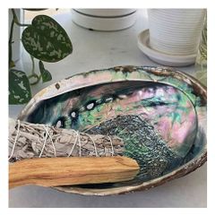 Natural Beauty - Abalone Shell - excellent incense burner base