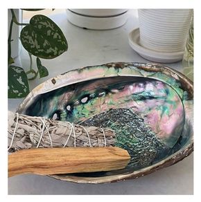 Natural Beauty - Abalone Shell - excellent incense burner base