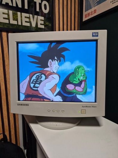 Samsung CRT Monitor - Swap For CRT TV