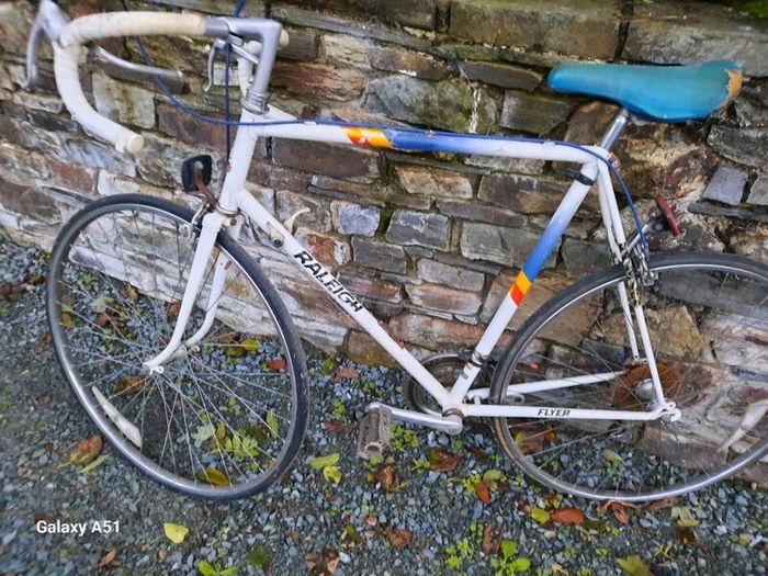 Raleigh flyer