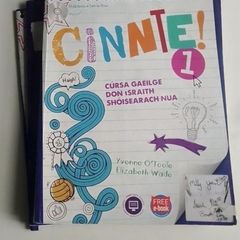 Cinnte 1 (set)