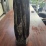 Very large Fossil Orthoceras 54cm Image 3