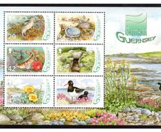 2006 Guernsey Designation of LEree Wetland as Ramsar Site Commemorative Stamps Miniature Sheet Mint Never Hinged (MNH)