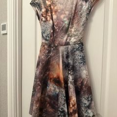 Ted Baker Dress