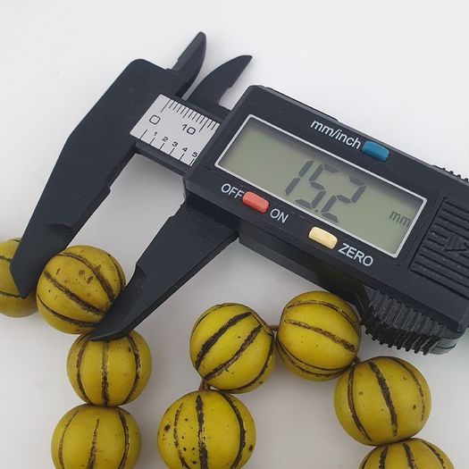 Antique African Yellow Melon Shape Glass beads Necklace Strands