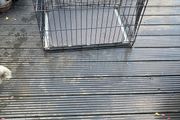 dog cage