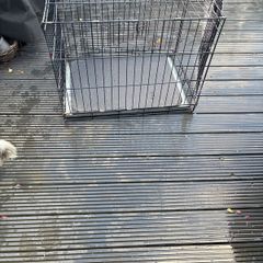 dog cage
