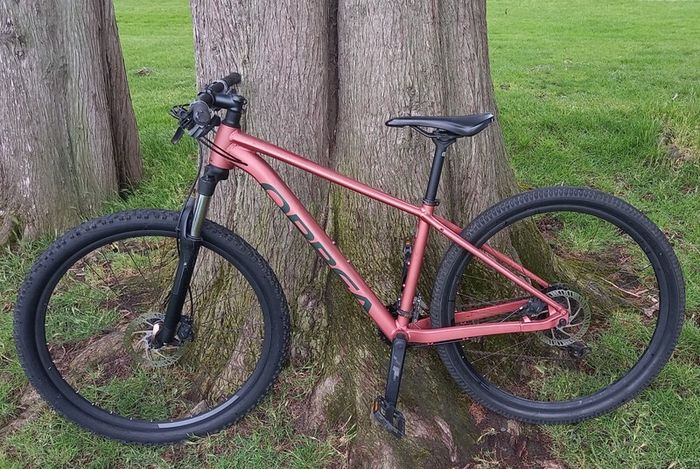 Orbea onna