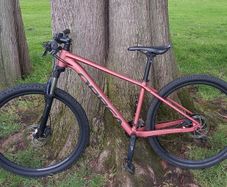 Orbea onna