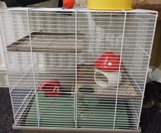 Hamster cage and accessories