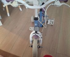 Frozen kids bike