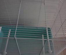 hamster cage