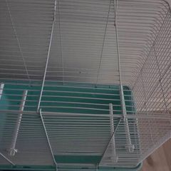 hamster cage