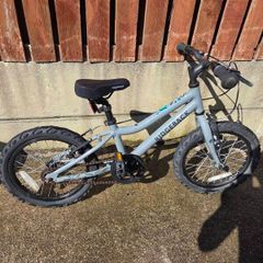 Ridgeback MX16