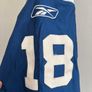NFL Vintage Colts Indianapolis Payton Manning Jersey Size 50 and Colts Mens Beanie One Size Image 6