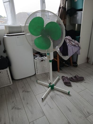 Fan