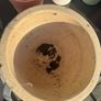 Plant pots Image 3