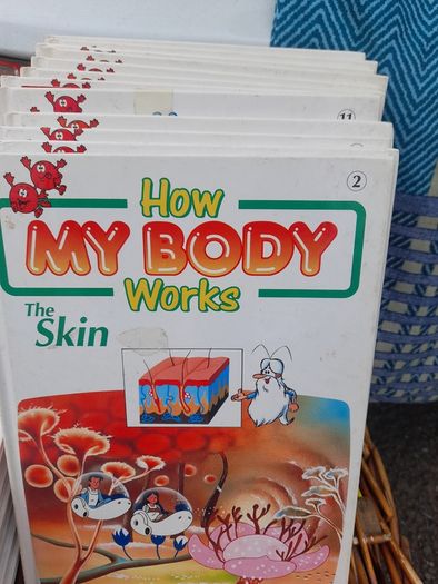 How My Body Works