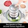 Kitchen in the box 2L+2L Electric Food Processors & Chopper with 304 Stainless Steel Container and Glass Container, 2 Speed Settings, 4 Stainless Steel Blades for Chopping Meat, Baby Food, Vegetable Image 5