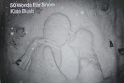 Kate Bush CD  - 50 Words For Snow