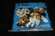 Picture House - Karmarama